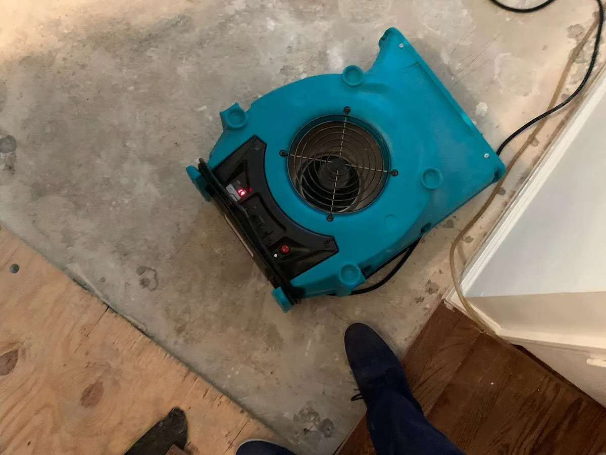 Air mover drying subfloor during Commercial Water Damage Restoration in Cedar Mill